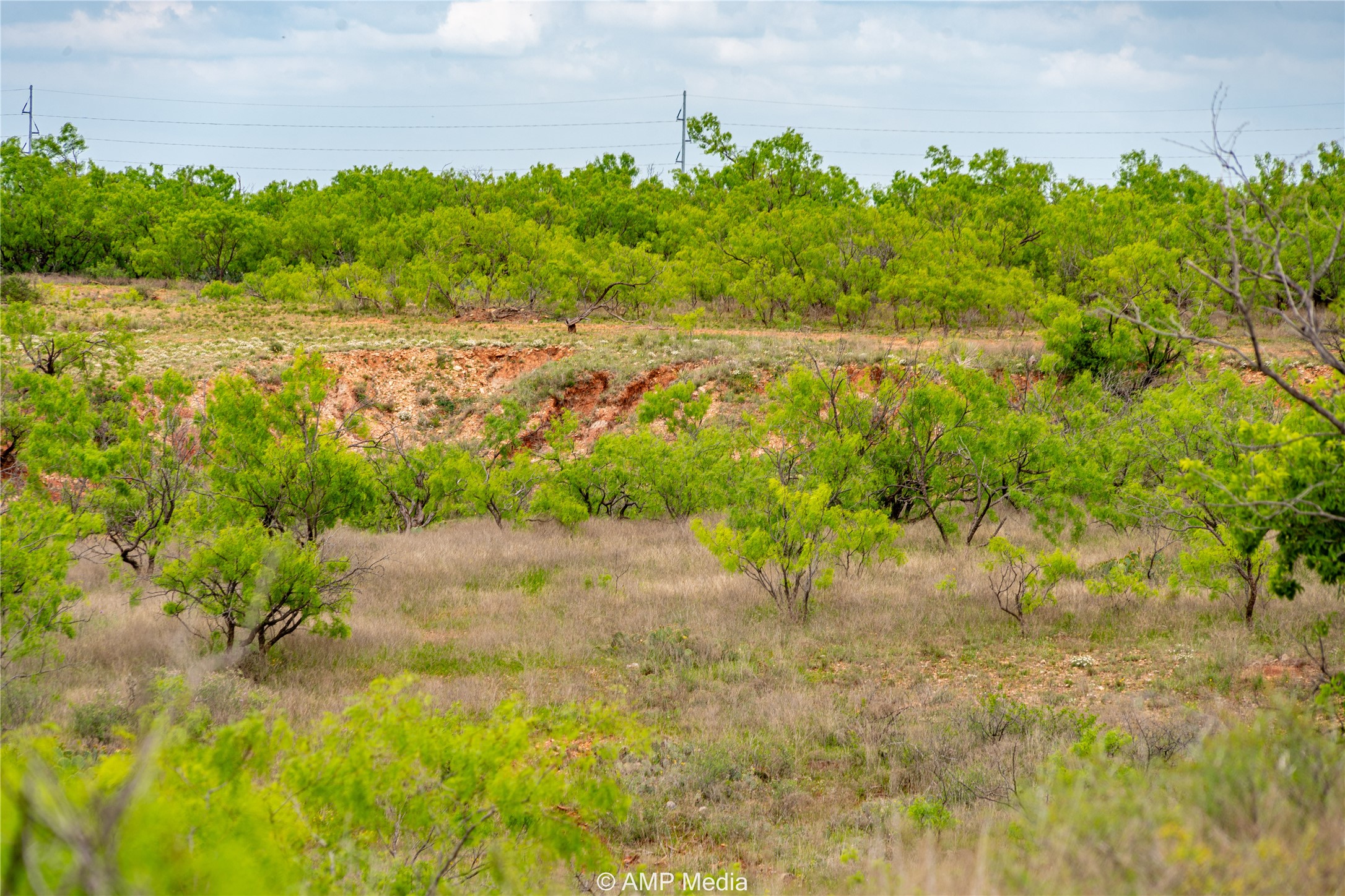 Tbd Cr 195 Anson TX 79501