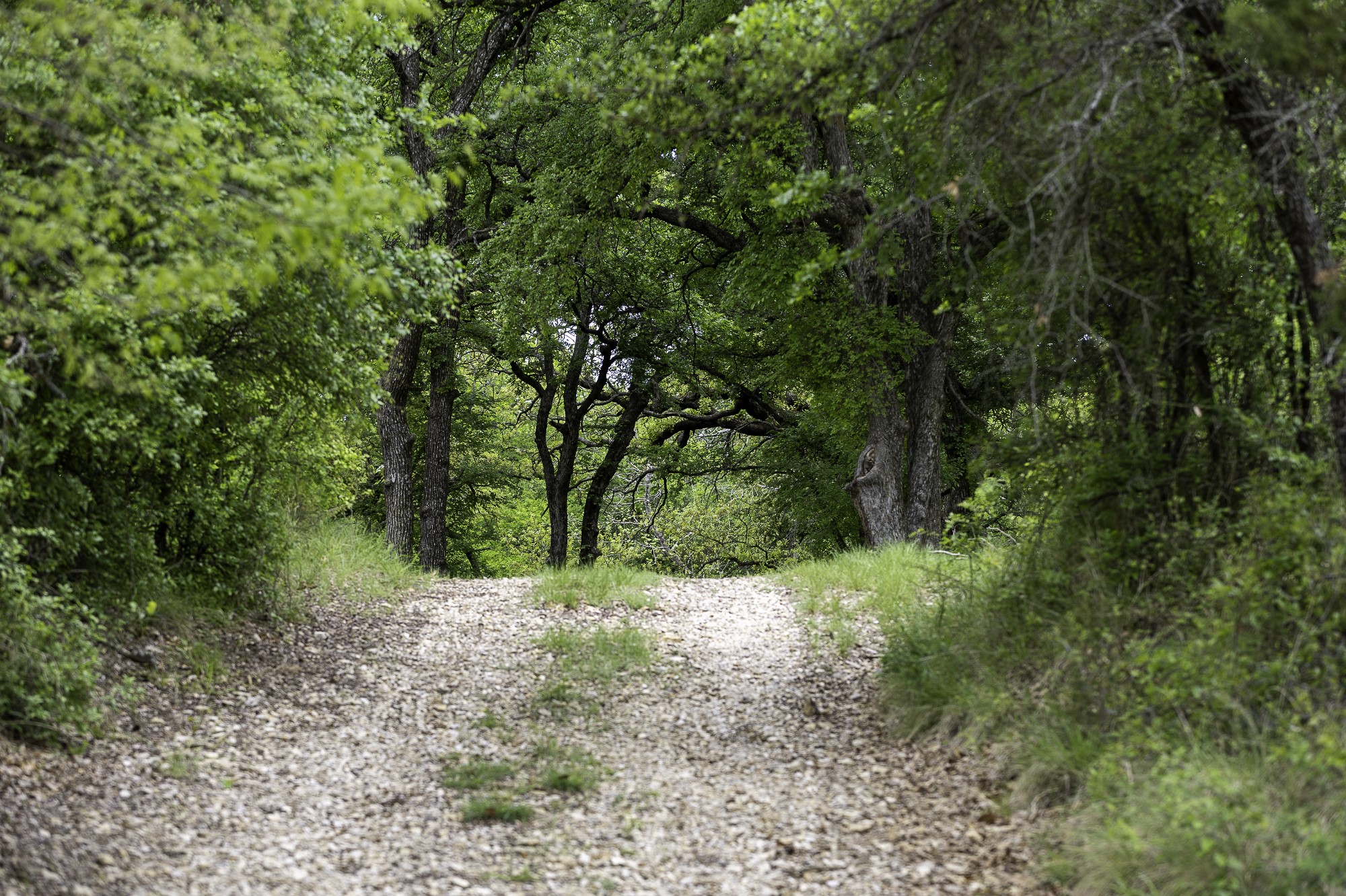 Tbd Highway 254 Highway Graford TX 76449