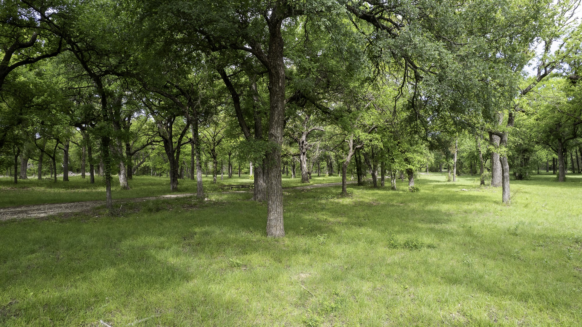 Tbd Highway 254 Highway Graford TX 76449