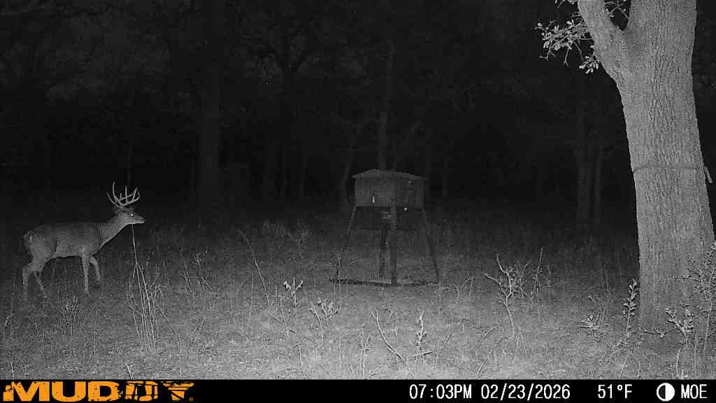 Tbd Highway 254 Highway Graford TX 76449