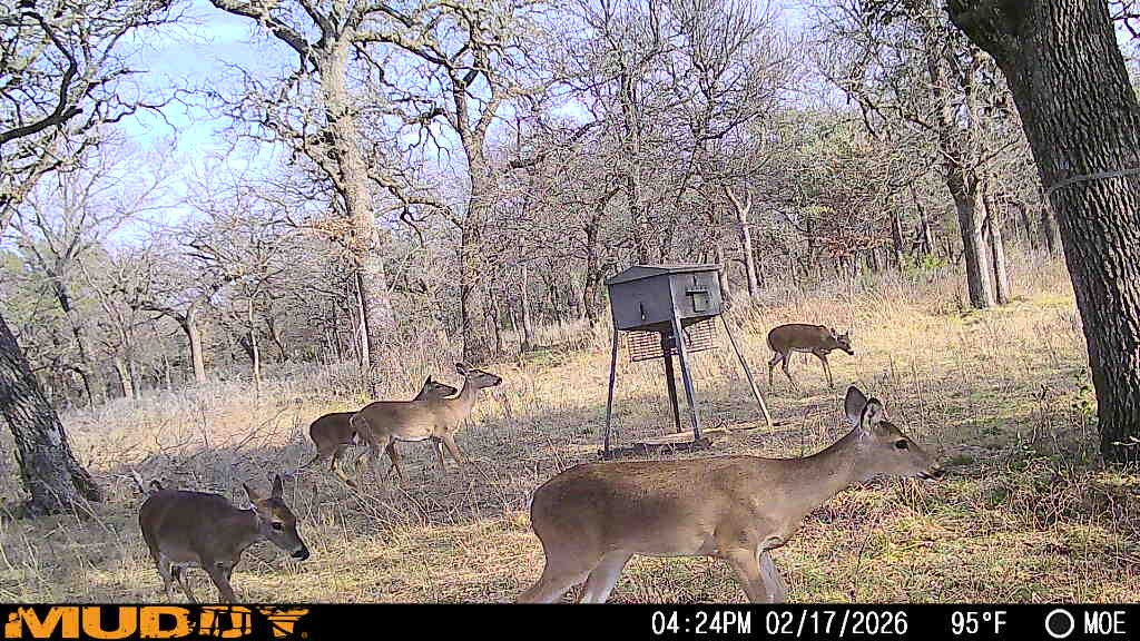 Tbd Highway 254 Highway Graford TX 76449