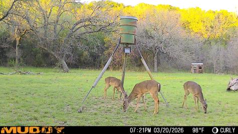 Tbd Hwy 254 Highway Graford TX 76449