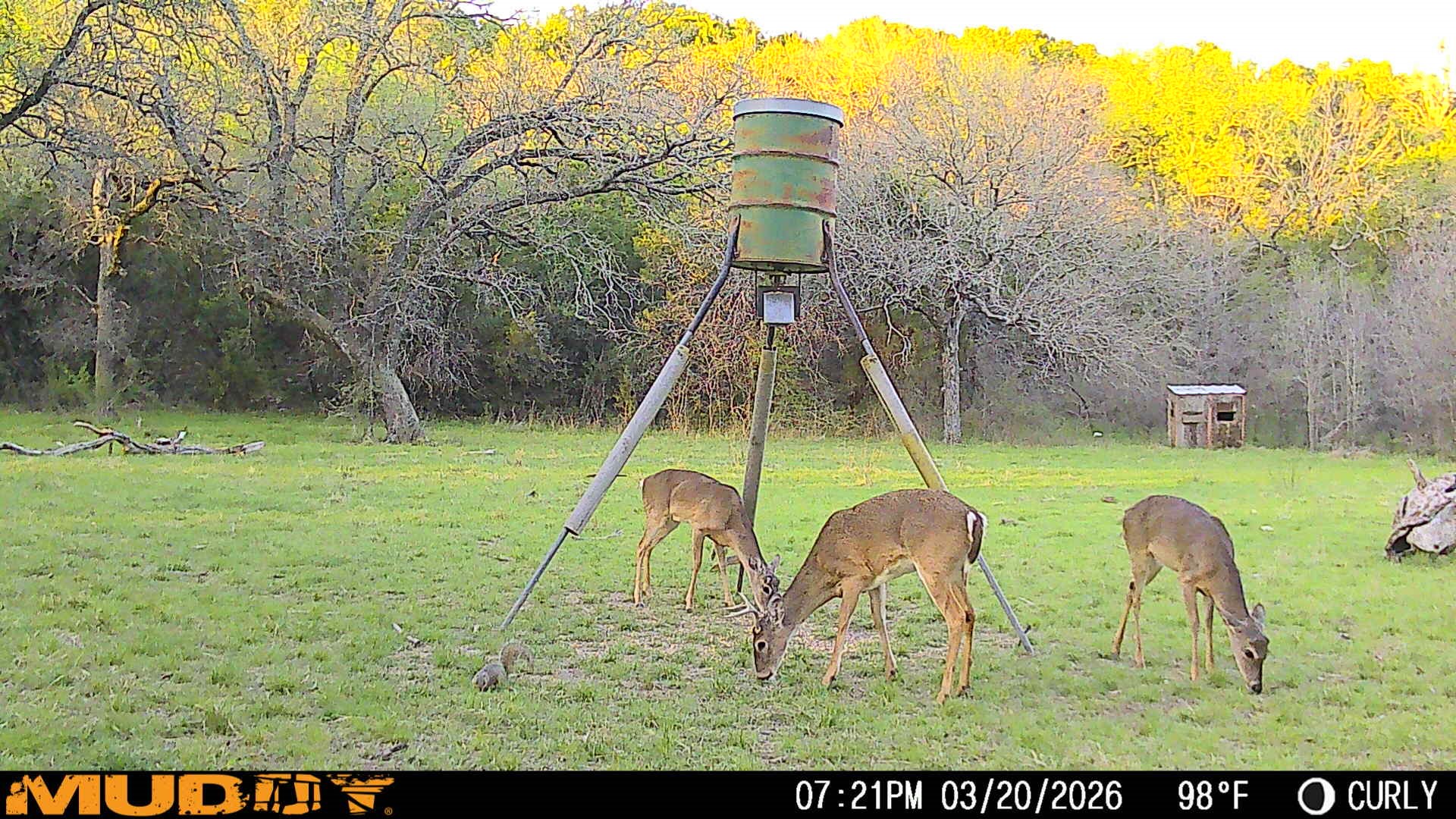 Tbd Highway 254 Highway Graford TX 76449