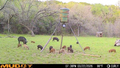 Tbd Hwy 254 Highway Graford TX 76449