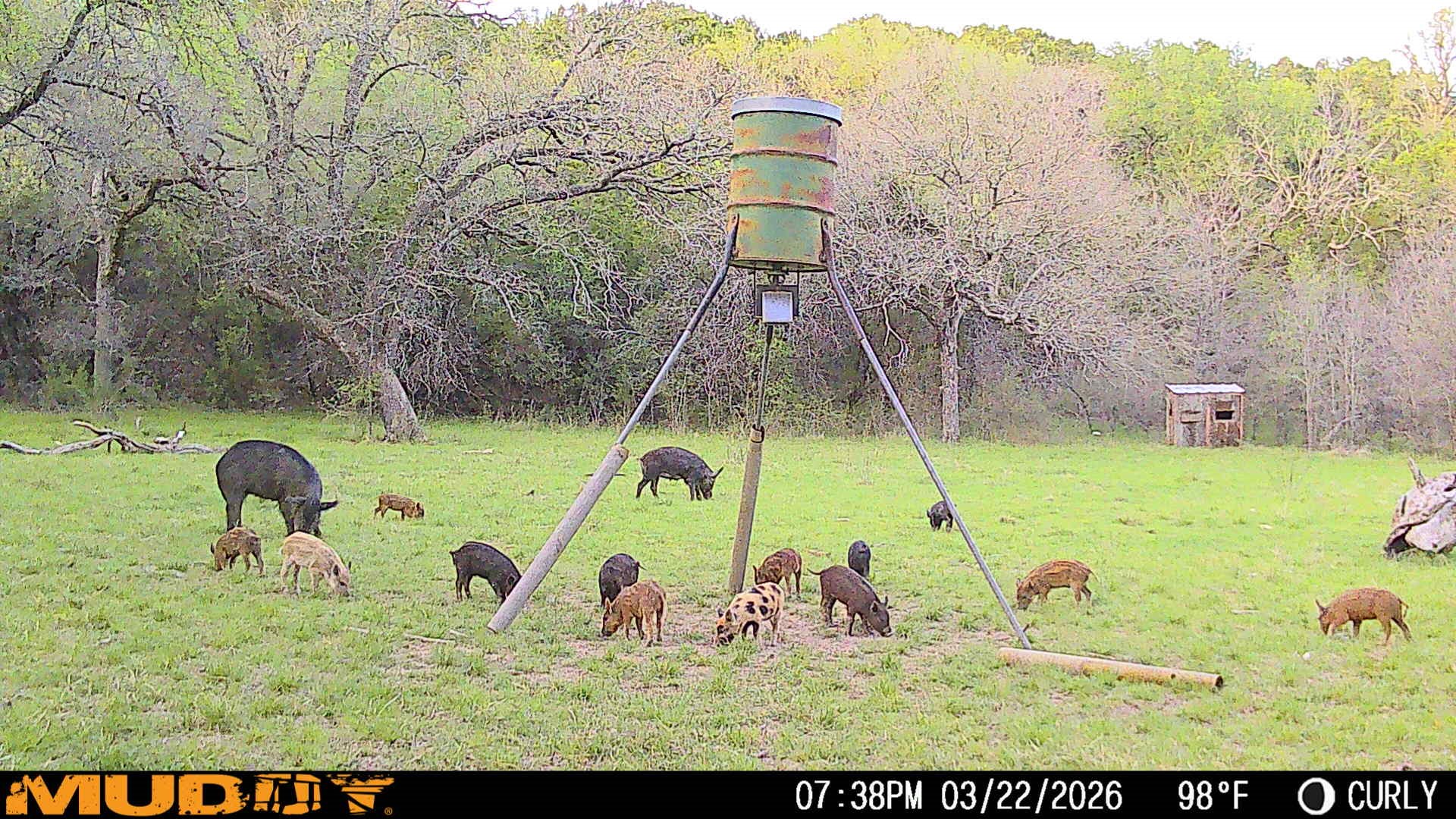 Tbd Highway 254 Highway Graford TX 76449