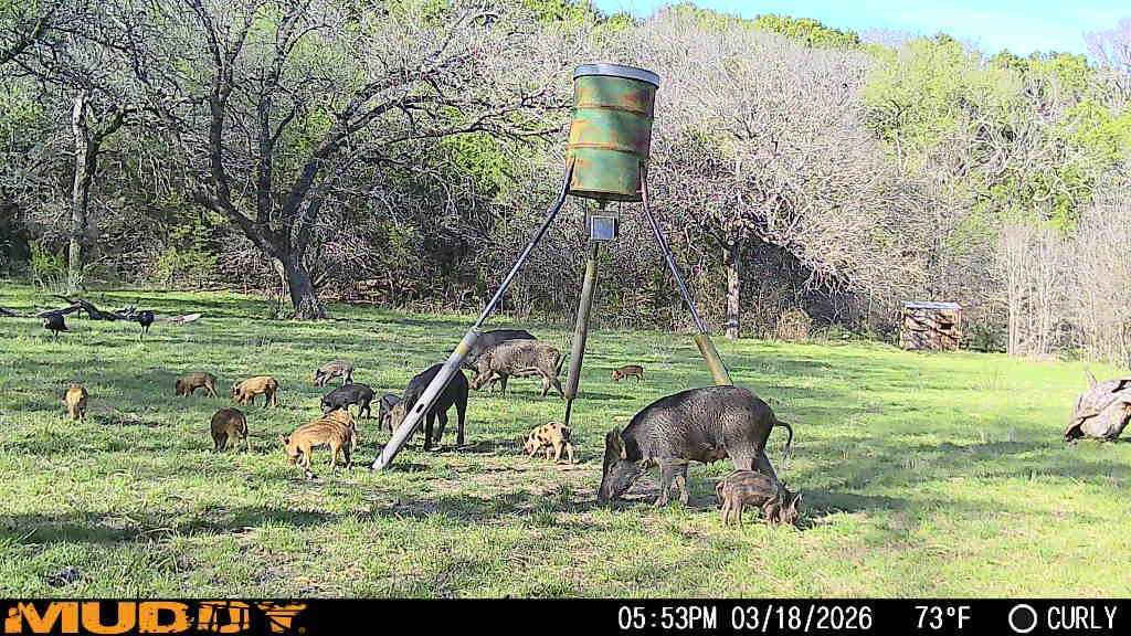 Tbd Highway 254 Highway Graford TX 76449