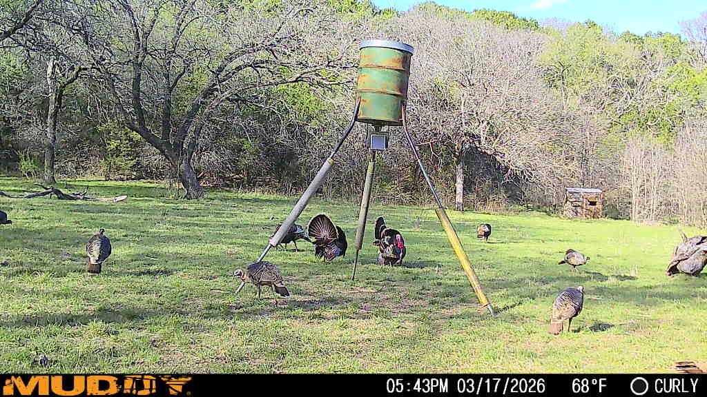 Tbd Highway 254 Highway Graford TX 76449