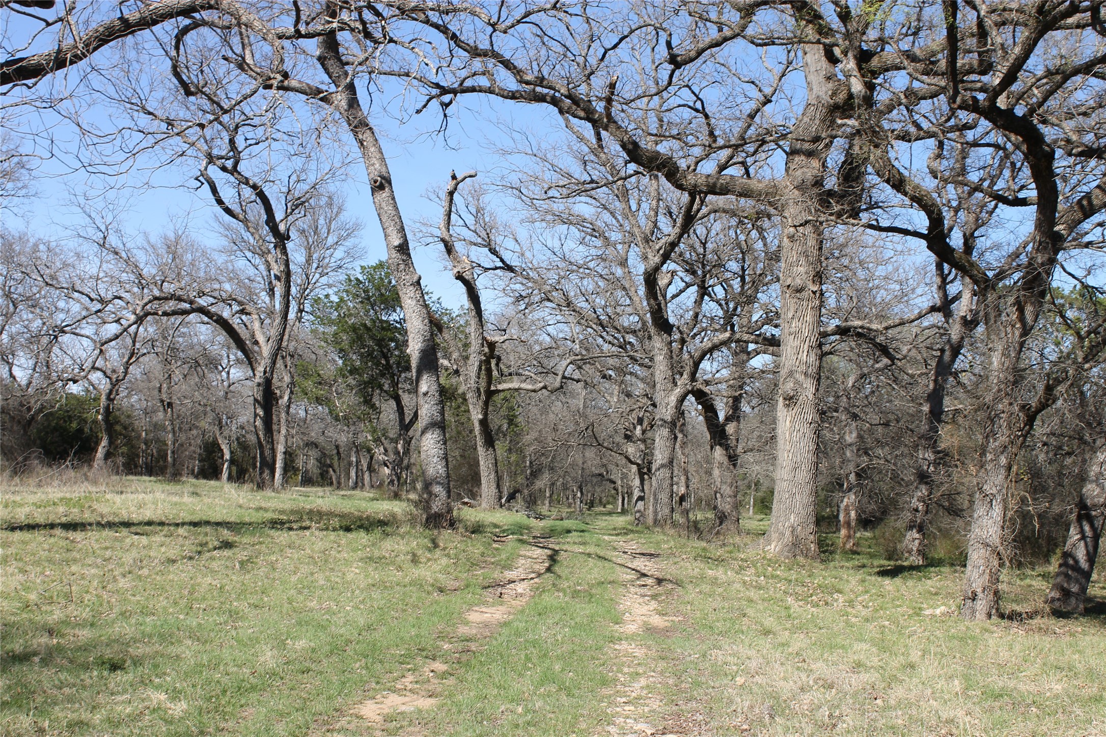 Tbd Highway 254 Highway Graford TX 76449