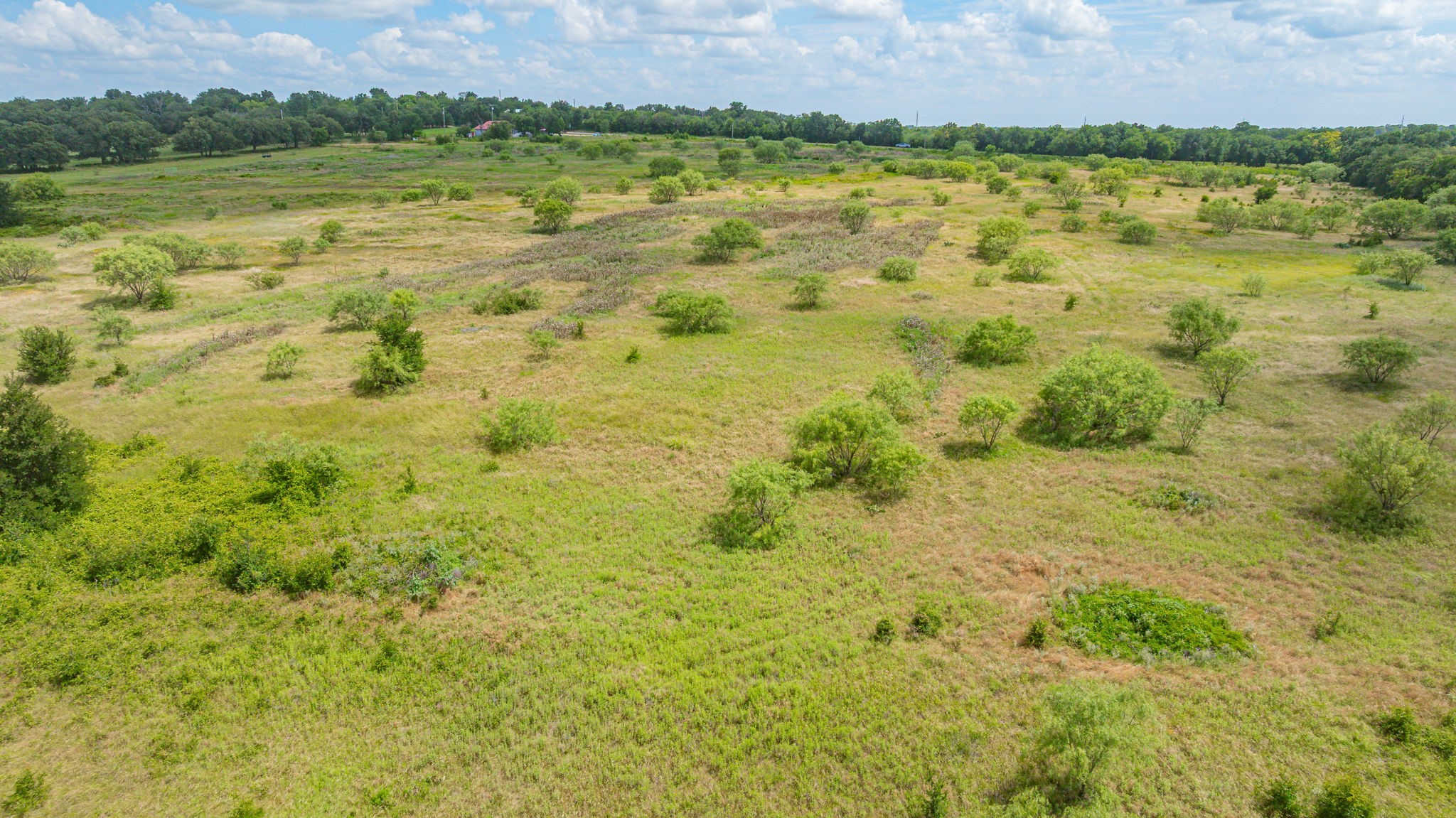 6130 W State Highway 6 Dublin TX 76446