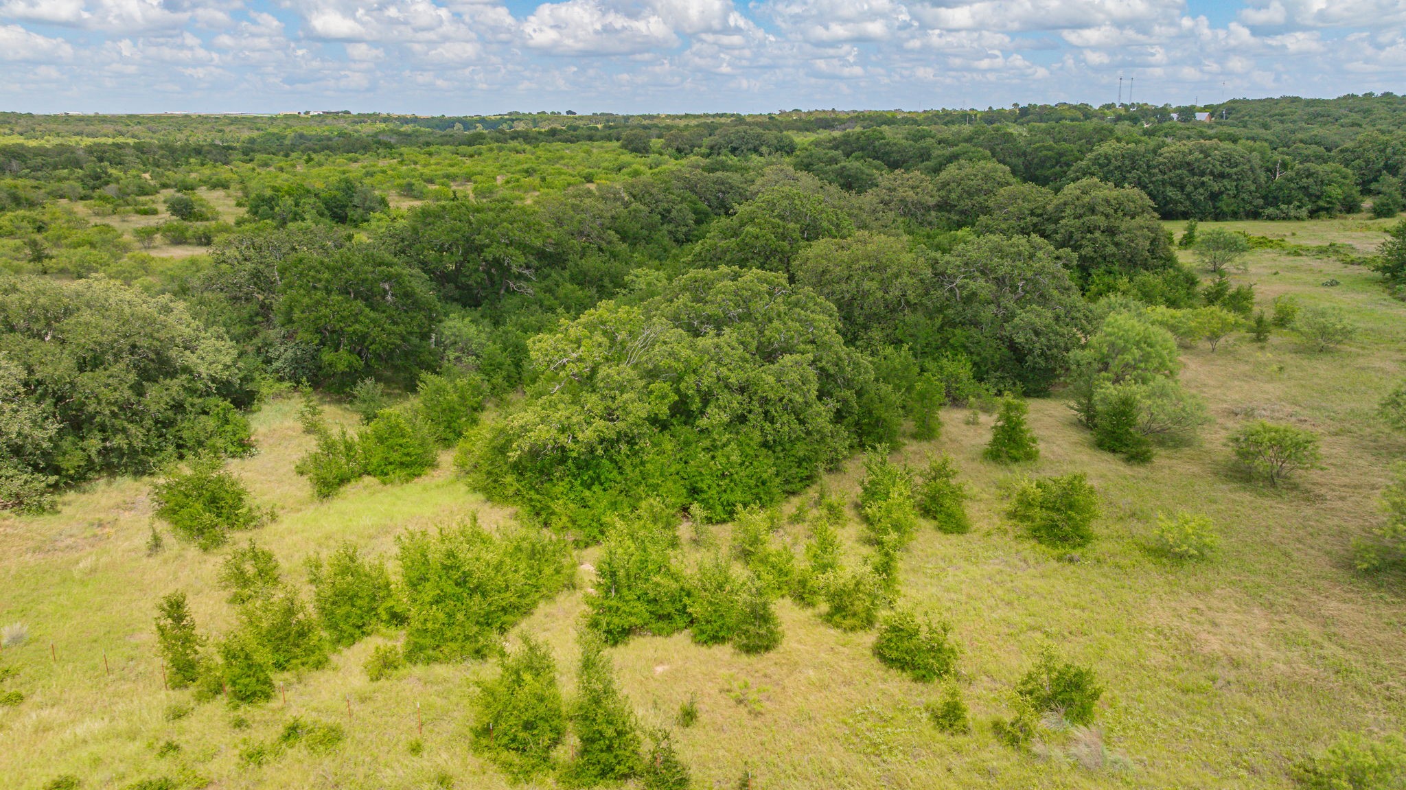 6130 W State Highway 6 Dublin TX 76446