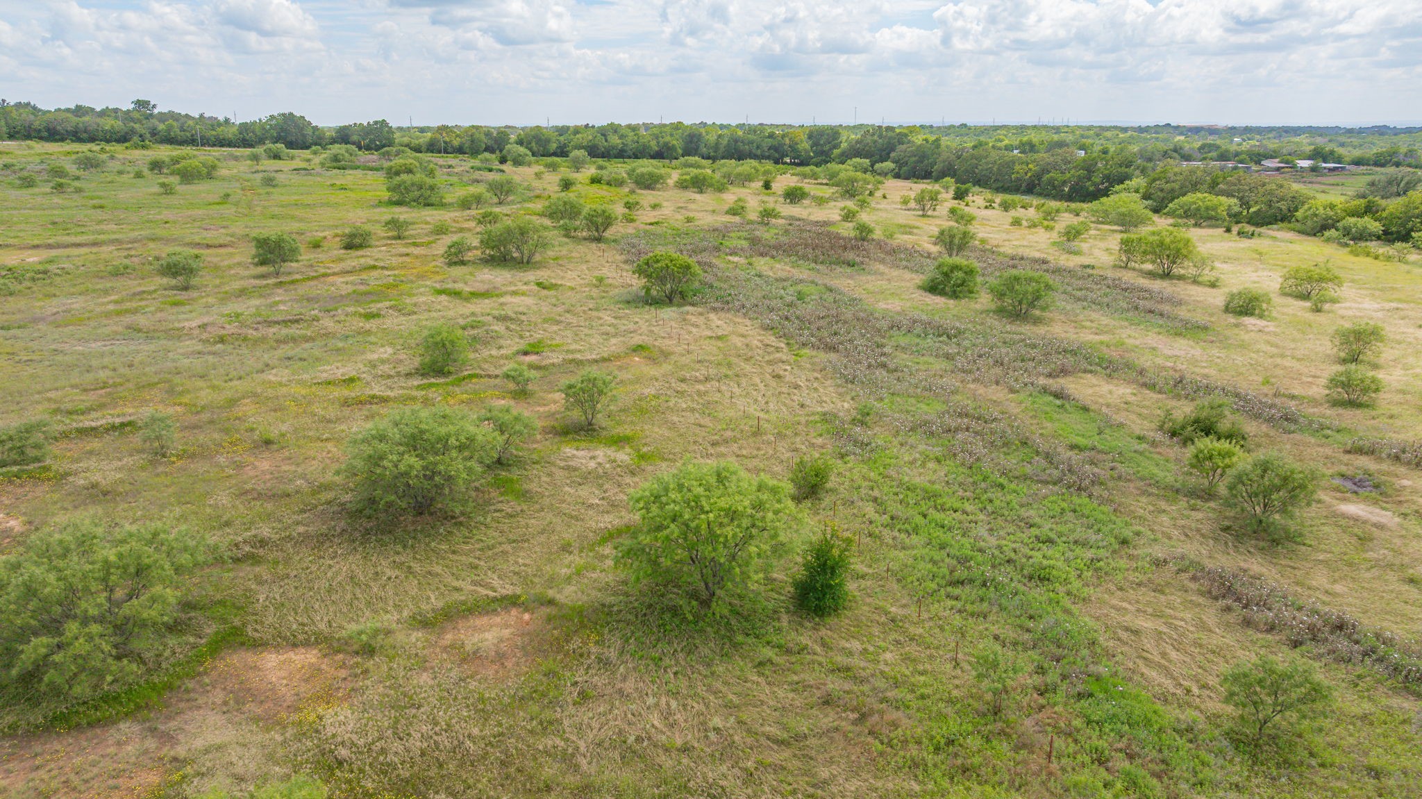 6130 W State Highway 6 Dublin TX 76446