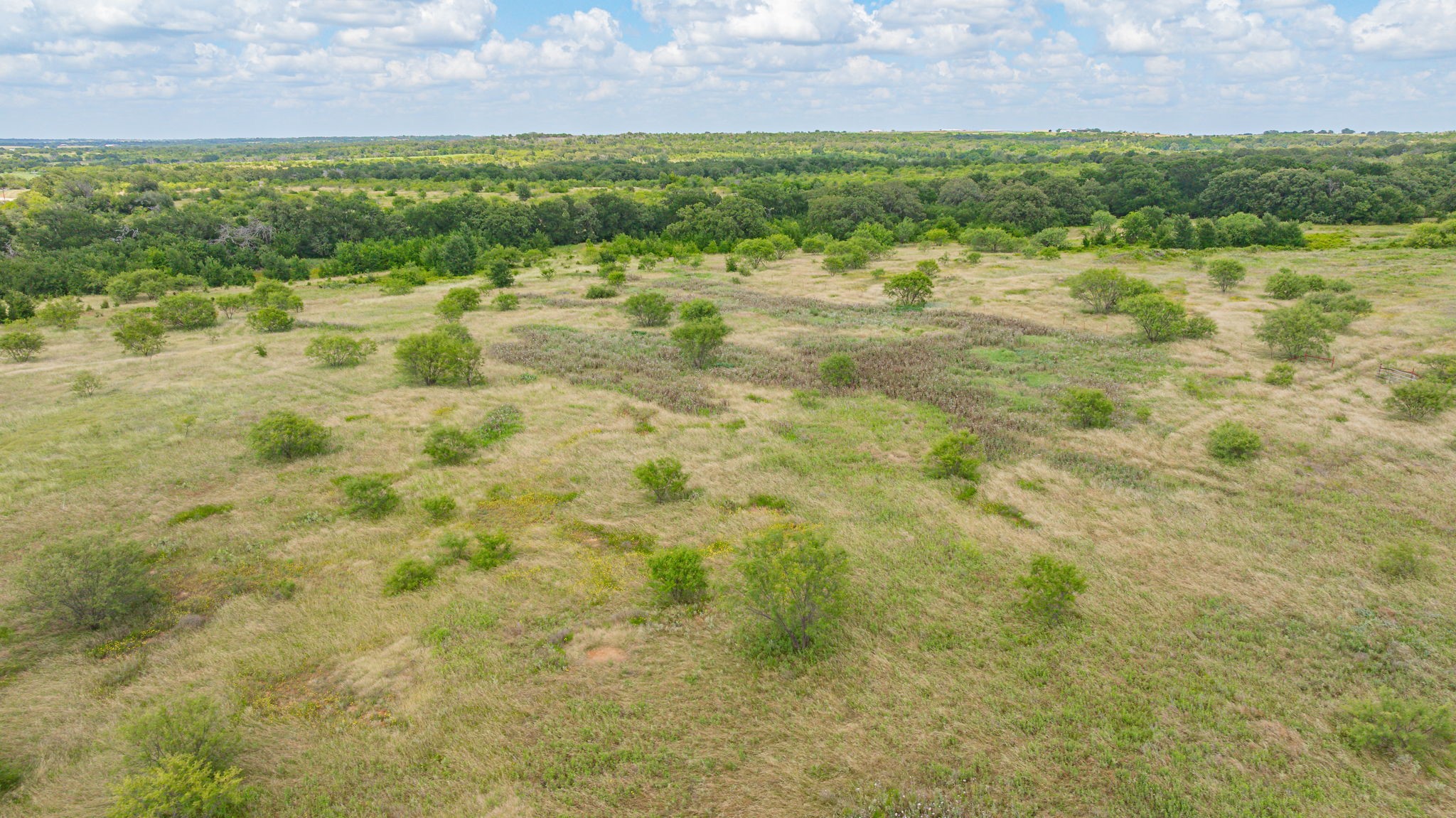 6130 W State Highway 6 Dublin TX 76446