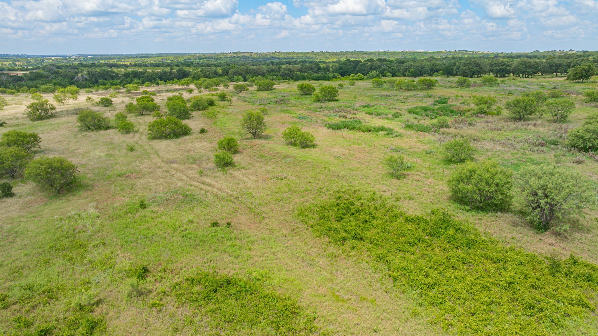 6130 W State Highway 6 Dublin TX 76446