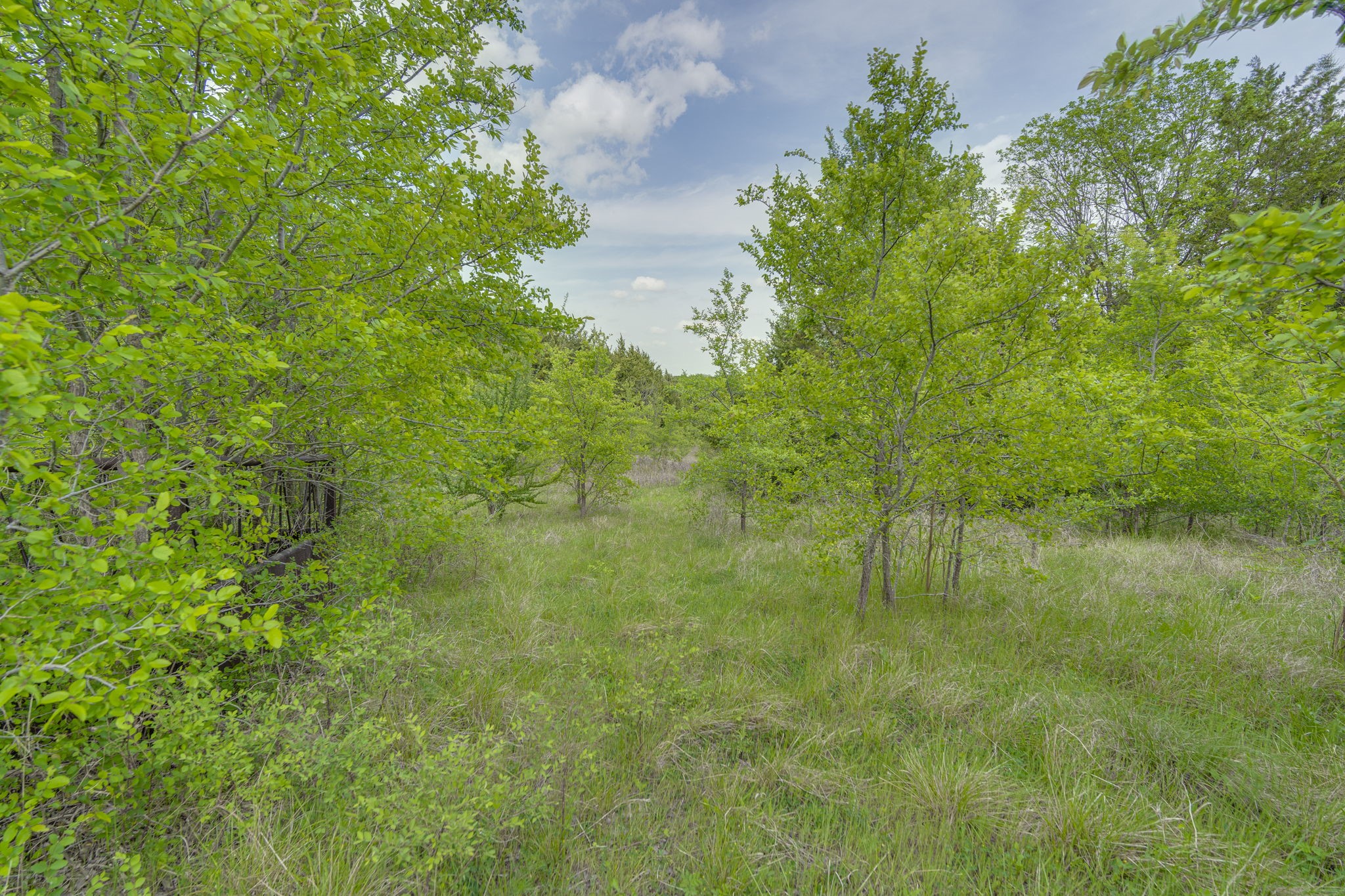 810 Truman Circle Lancaster TX 75146