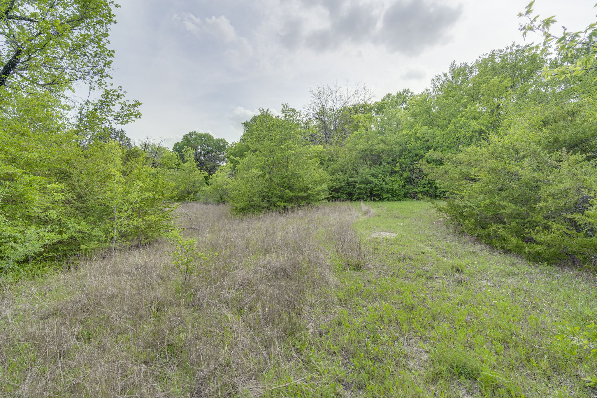 810 Truman Circle Lancaster TX 75146