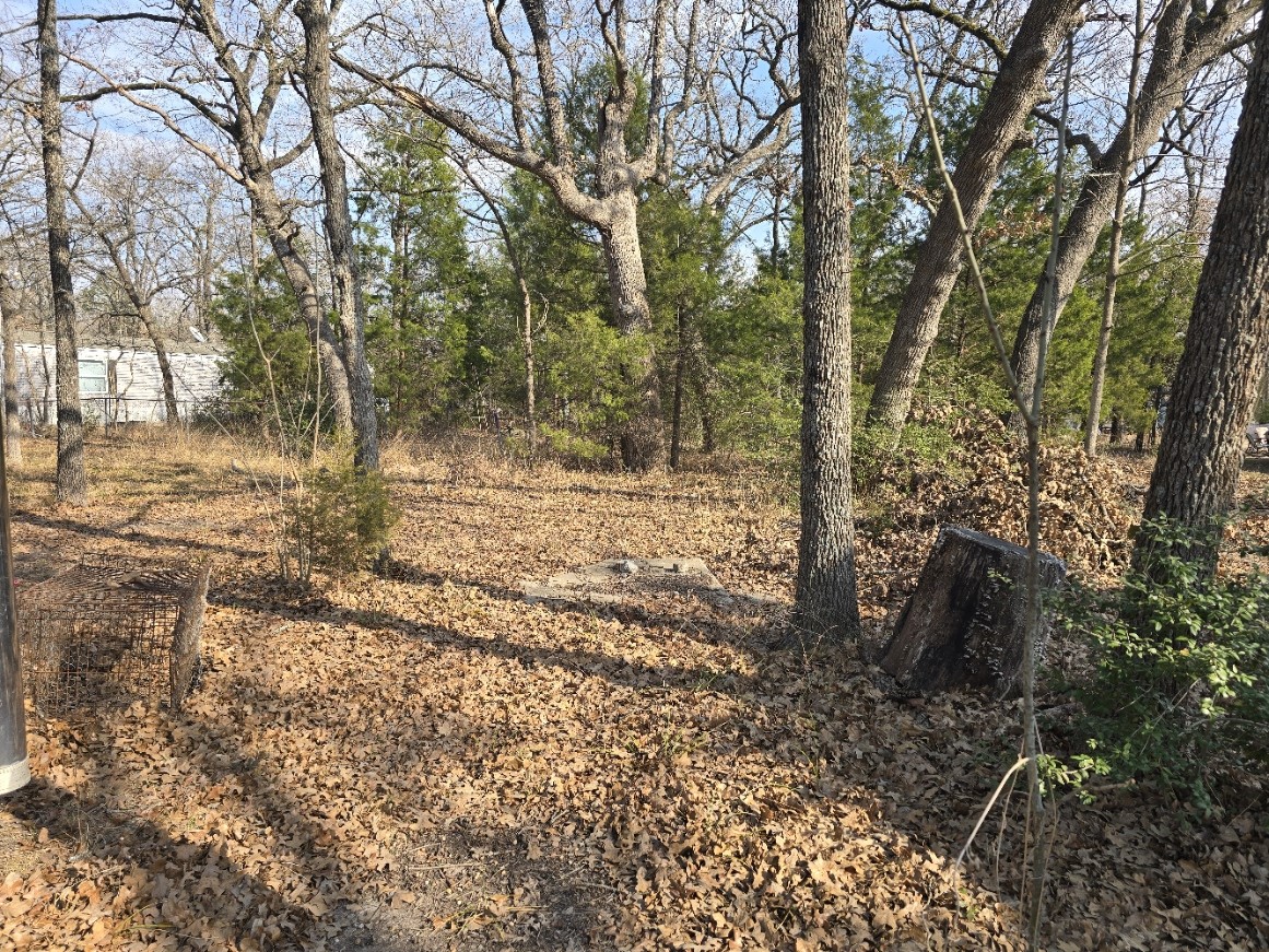320 Double Bridge Road Mabank TX 75156