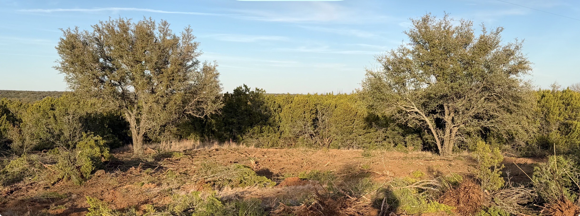 Tuscola TX 79562