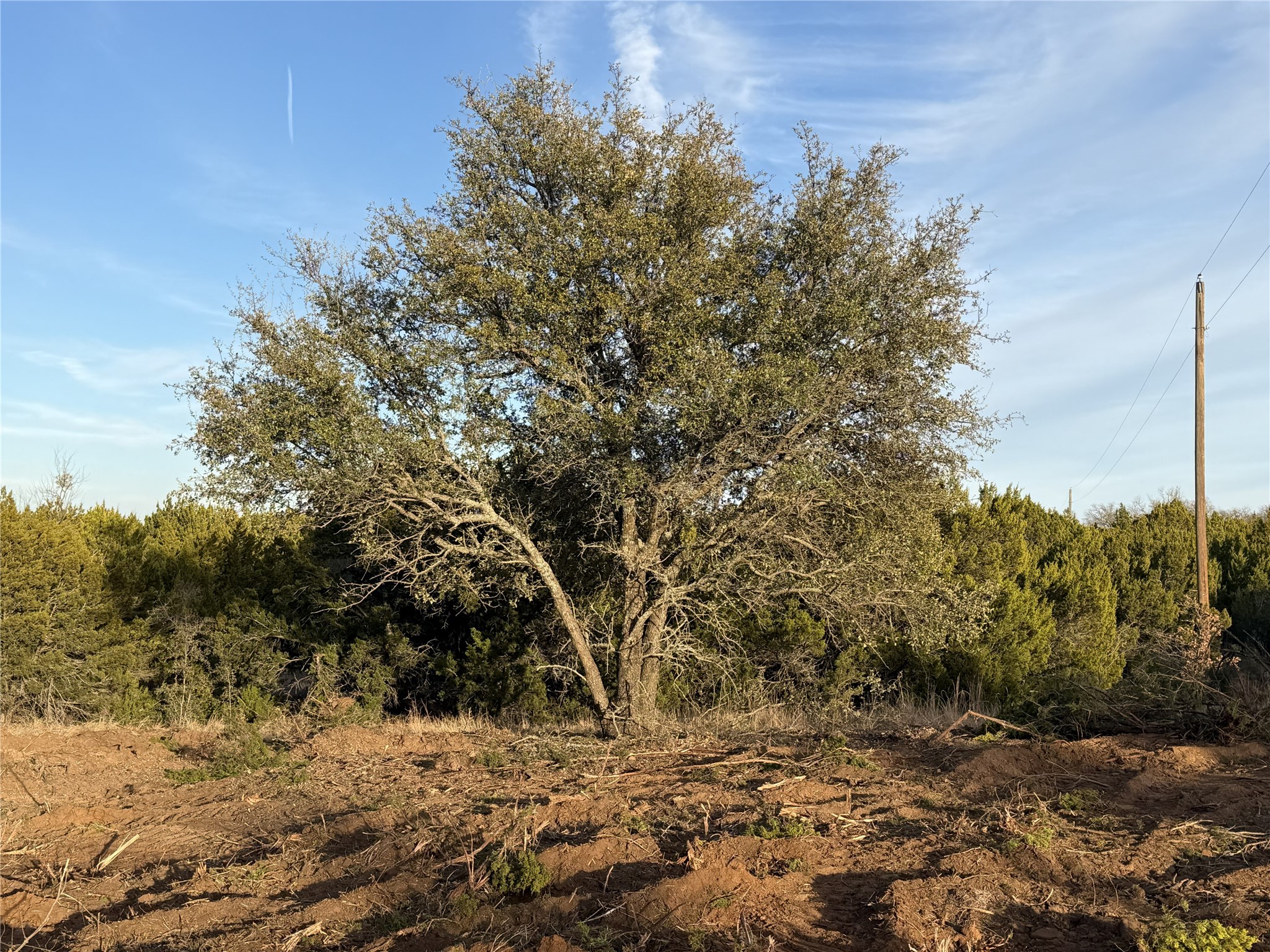 Tuscola TX 79562