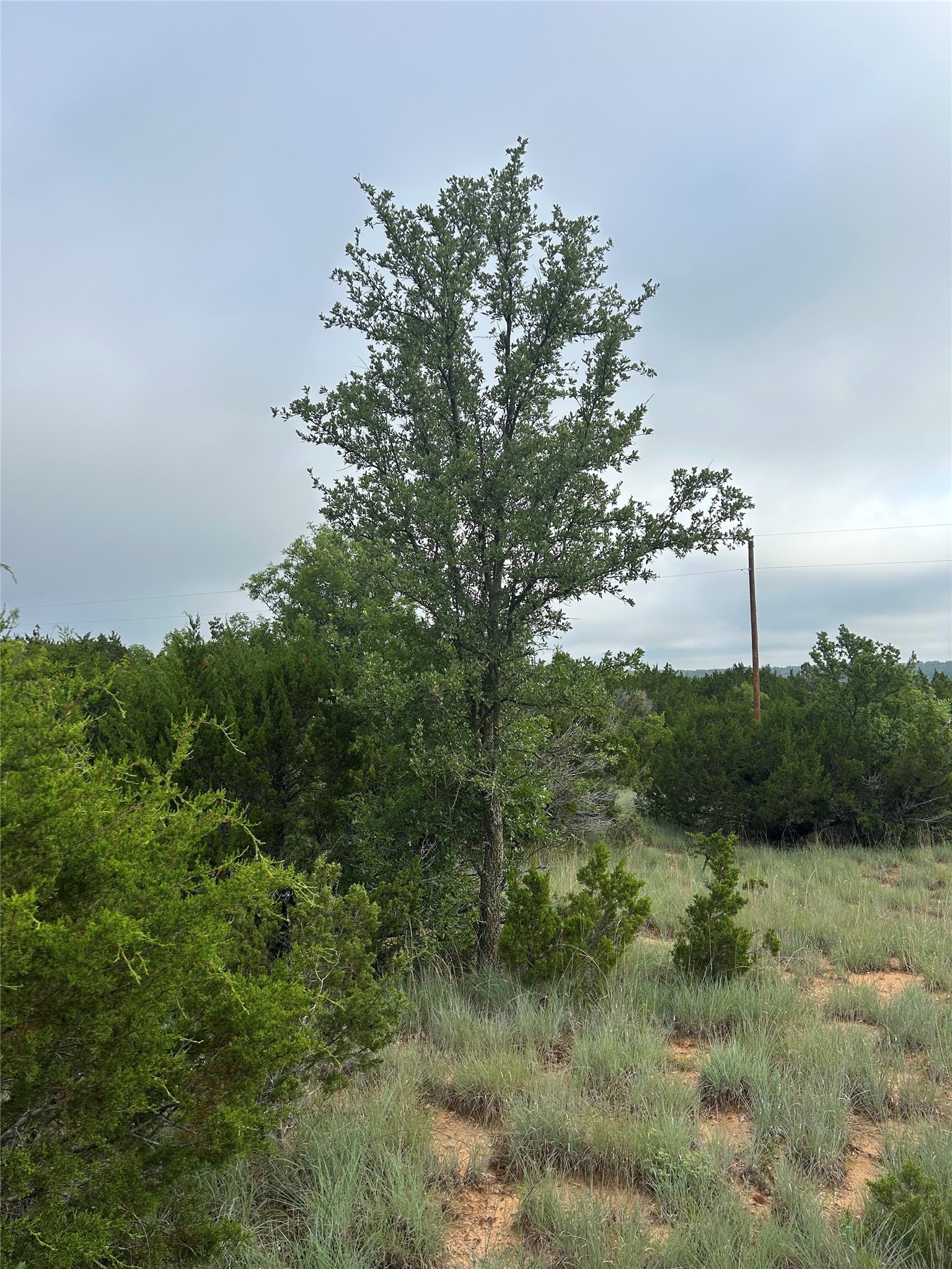 Tuscola TX 79562