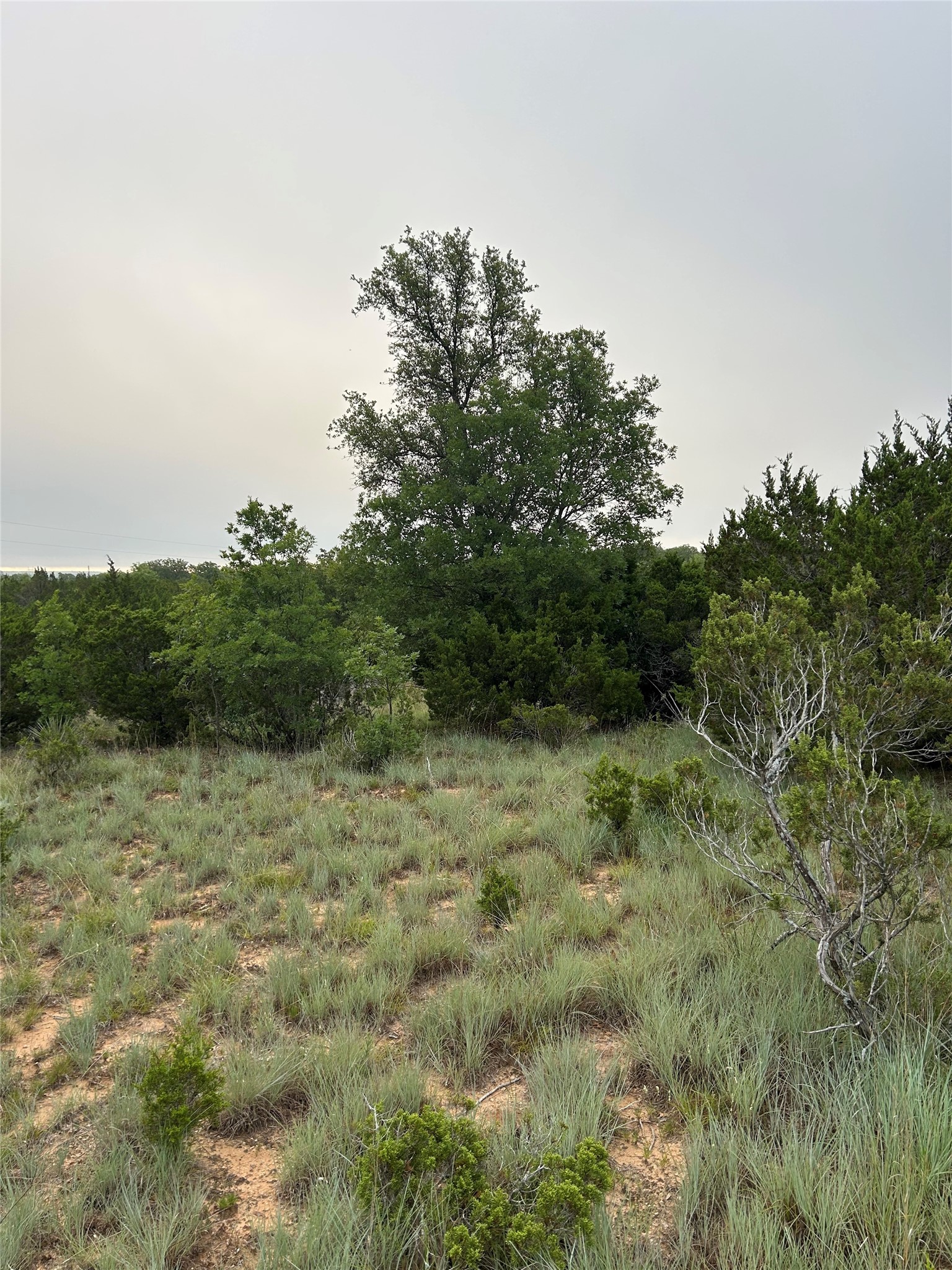 Tuscola TX 79562