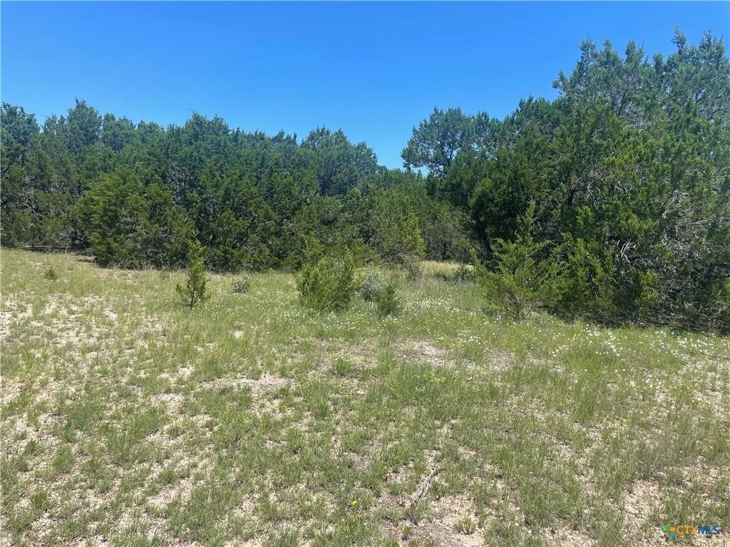 Lot 65 Estate View Circle Lampasas TX 76550