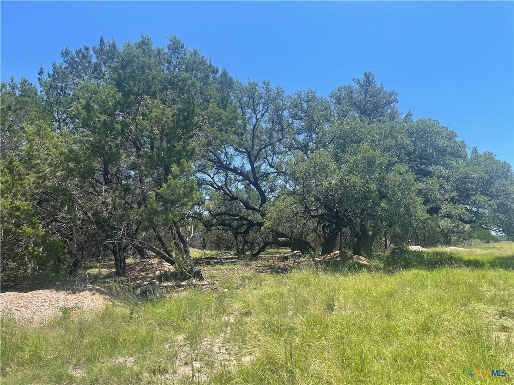 Lot 65 Estate View Circle Lampasas TX 76550