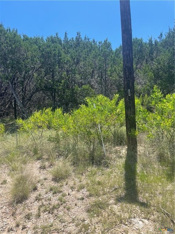 Lot 65 Estate View Circle Lampasas TX 76550