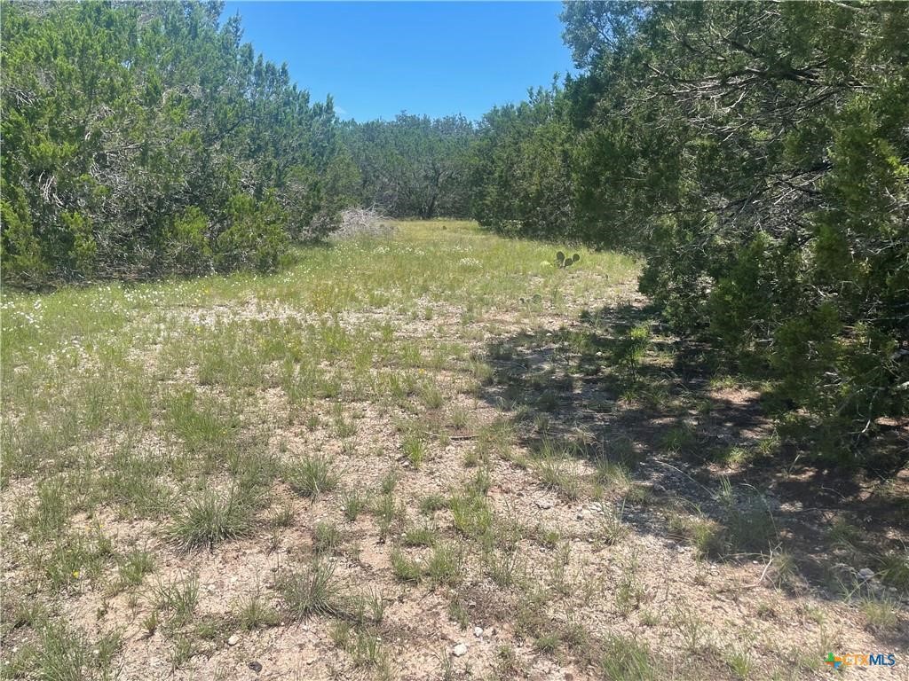 Lot 65 Estate View Circle Lampasas TX 76550
