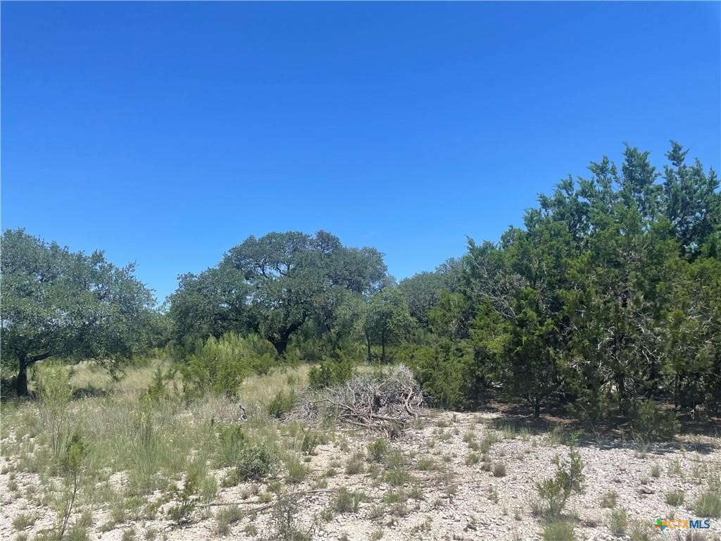 Lot 65 Estate View Circle Lampasas TX 76550