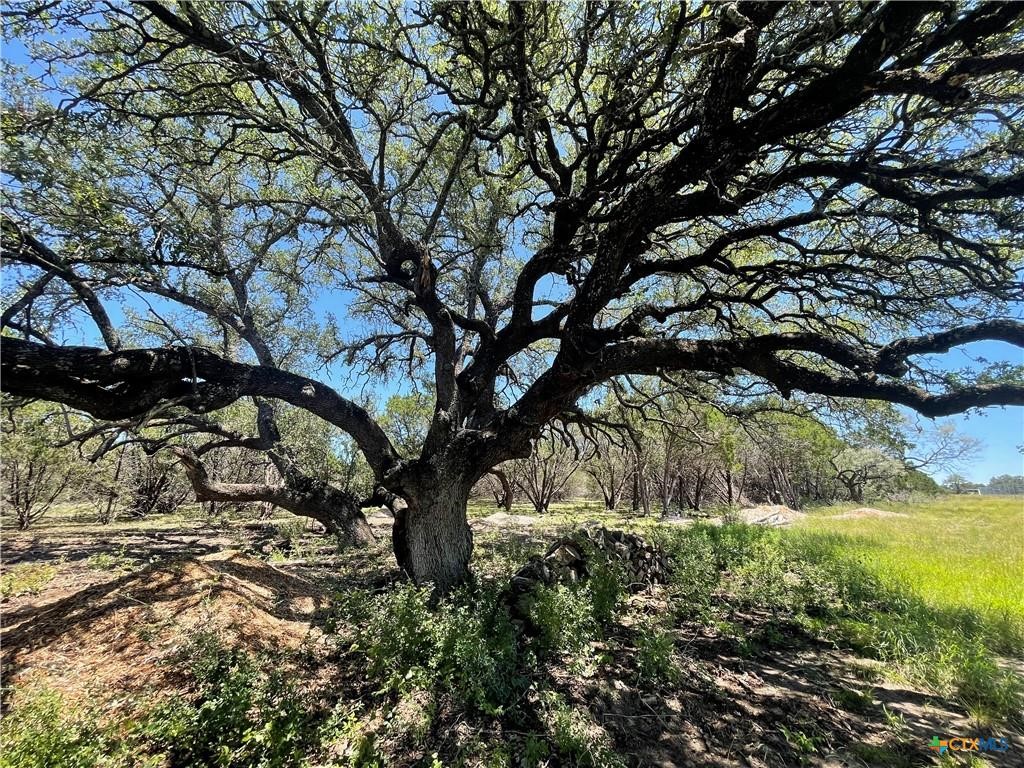 Lot 65 Estate View Circle Lampasas TX 76550