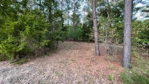 Lot 148 Navasota Mount Vernon TX 75457