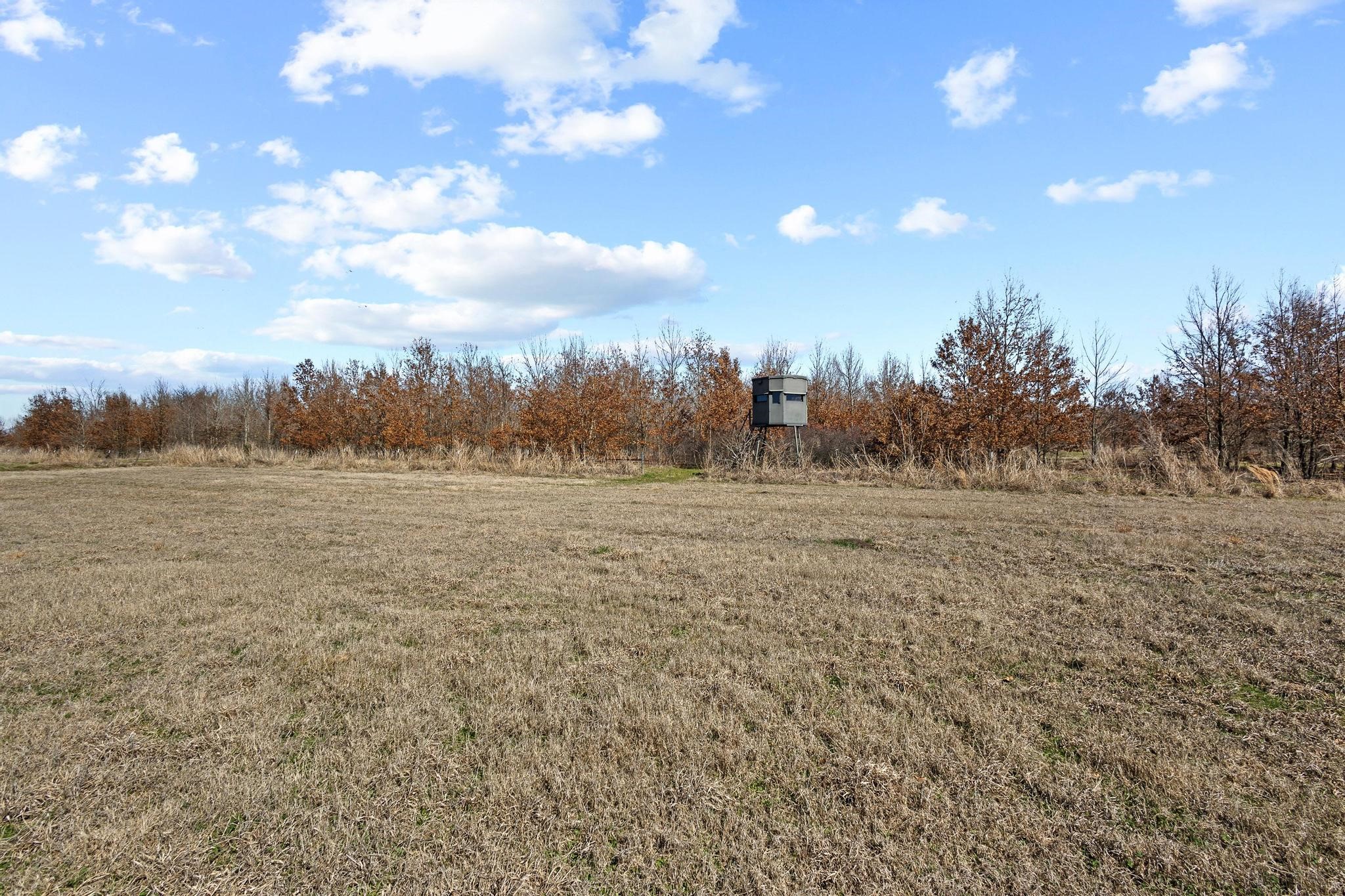 660 Twisted Mallard Way Honey Grove TX 75469