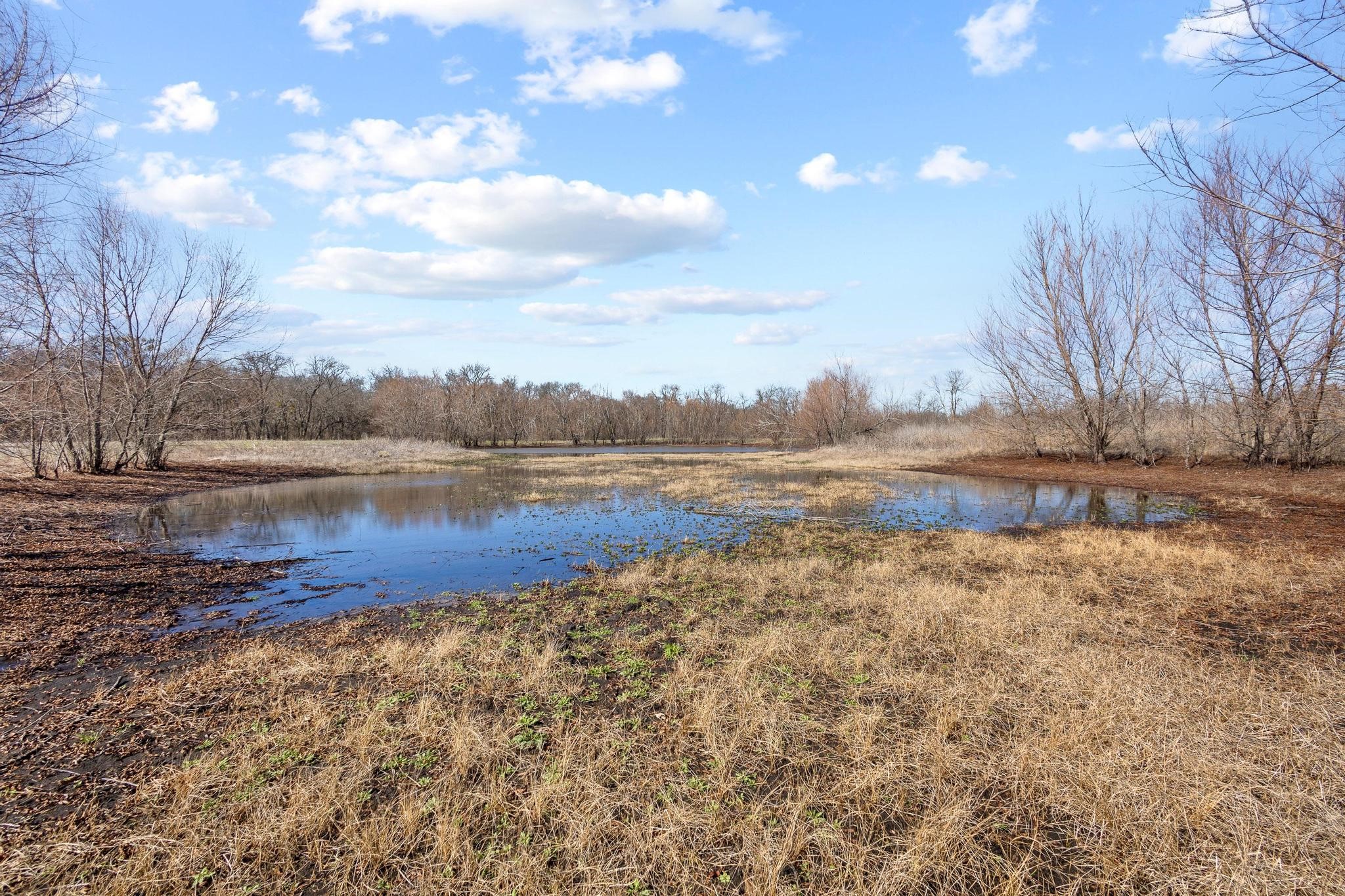 660 Twisted Mallard Way Honey Grove TX 75469