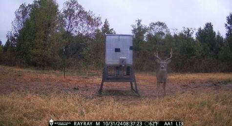 660 Twisted Mallard Way Honey Grove TX 75469