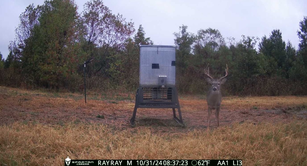 660 Twisted Mallard Way Honey Grove TX 75469