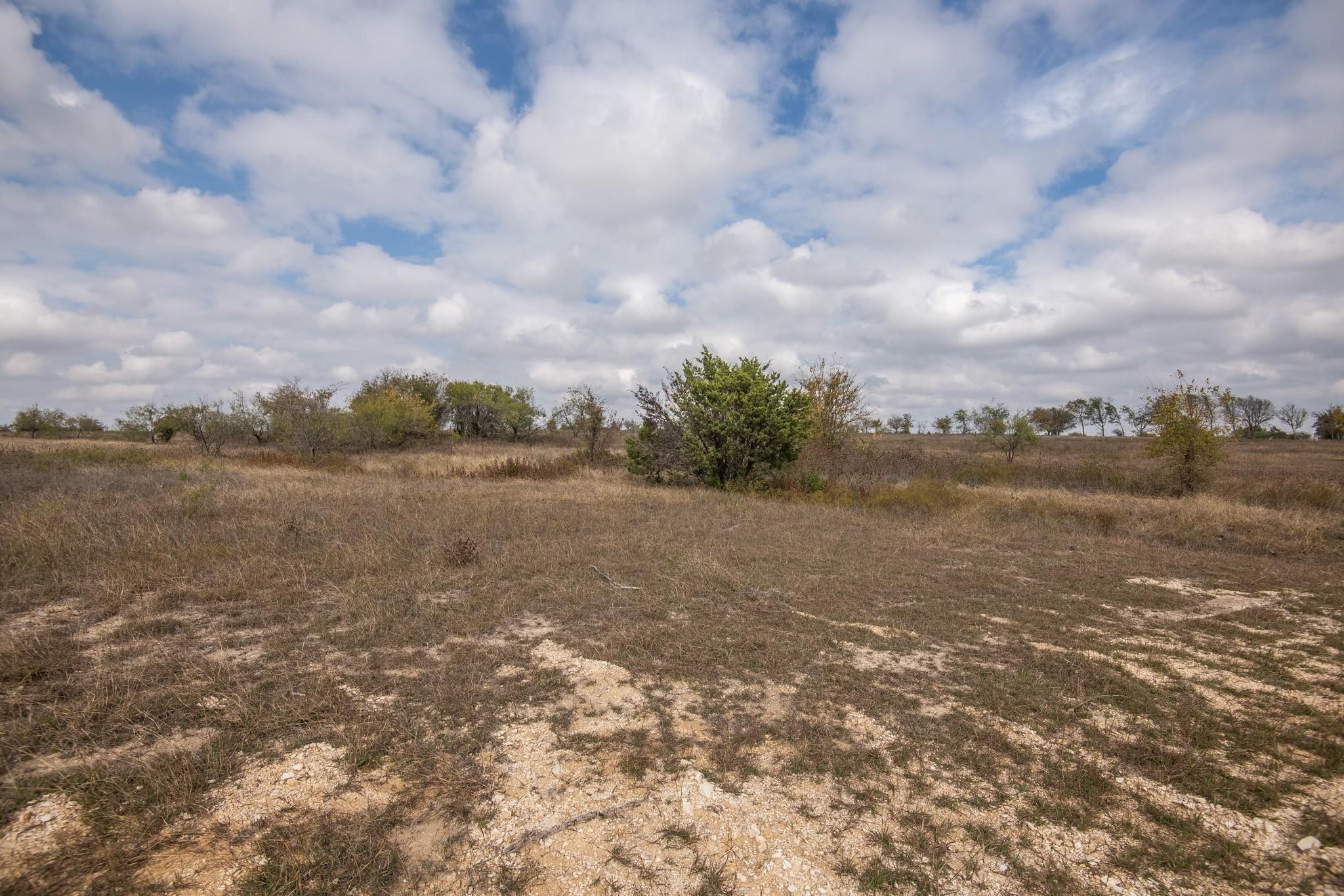 Lot 50 Longview Creek Trail Itasca TX 76055