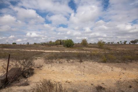 Lot 50 Longview Creek Trail Itasca TX 76055