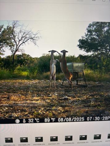 Tbd River Rock Road Valley Mills TX 76689