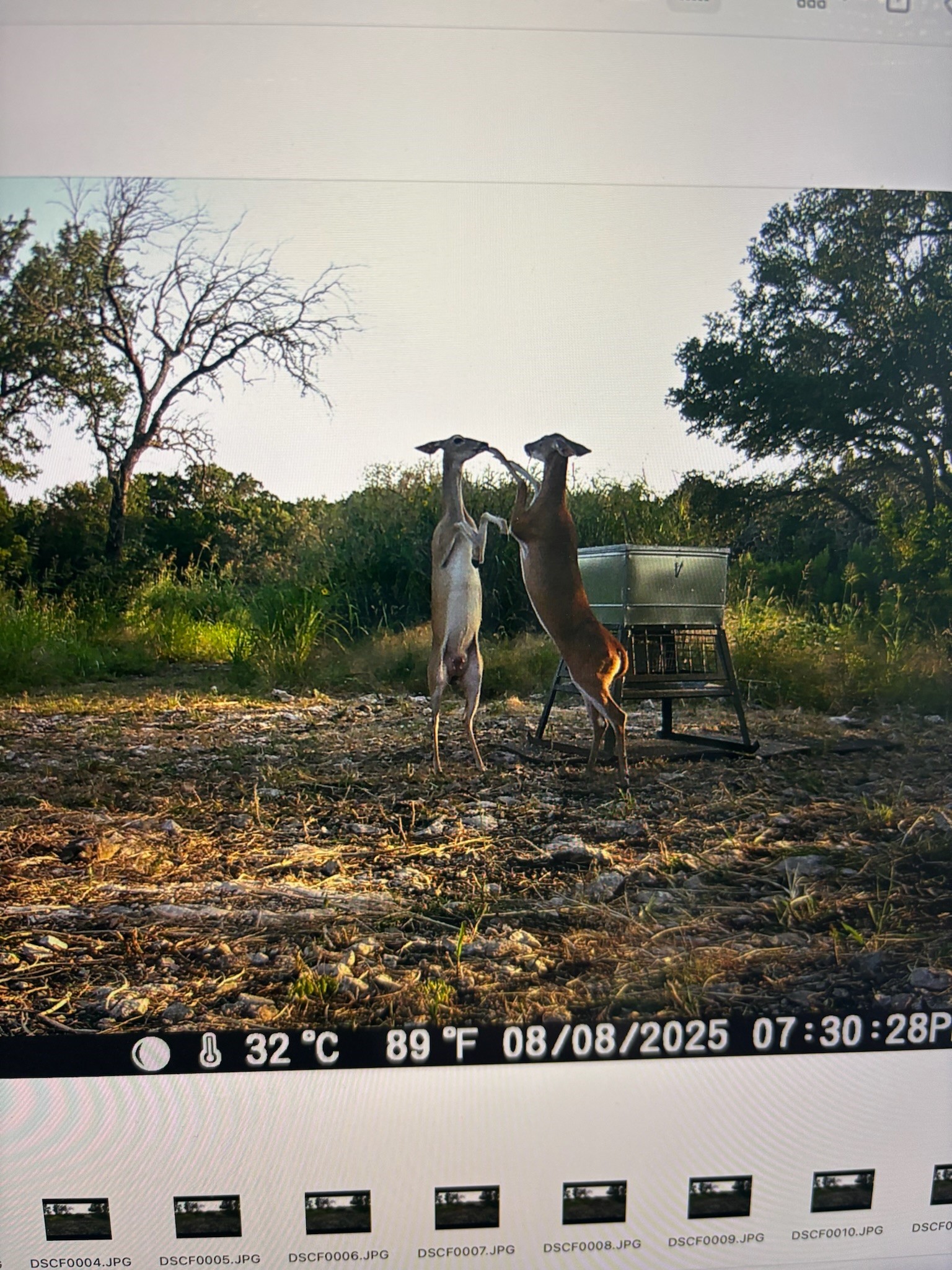 Tbd River Rock Road Valley Mills TX 76689