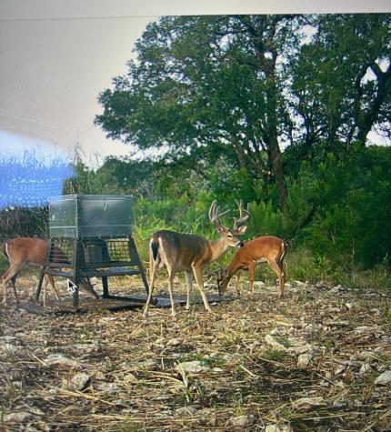 Tbd River Rock Road Valley Mills TX 76689