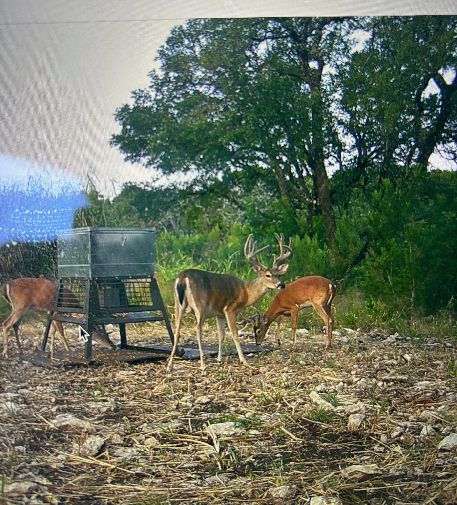 Tbd River Rock Road Valley Mills TX 76689