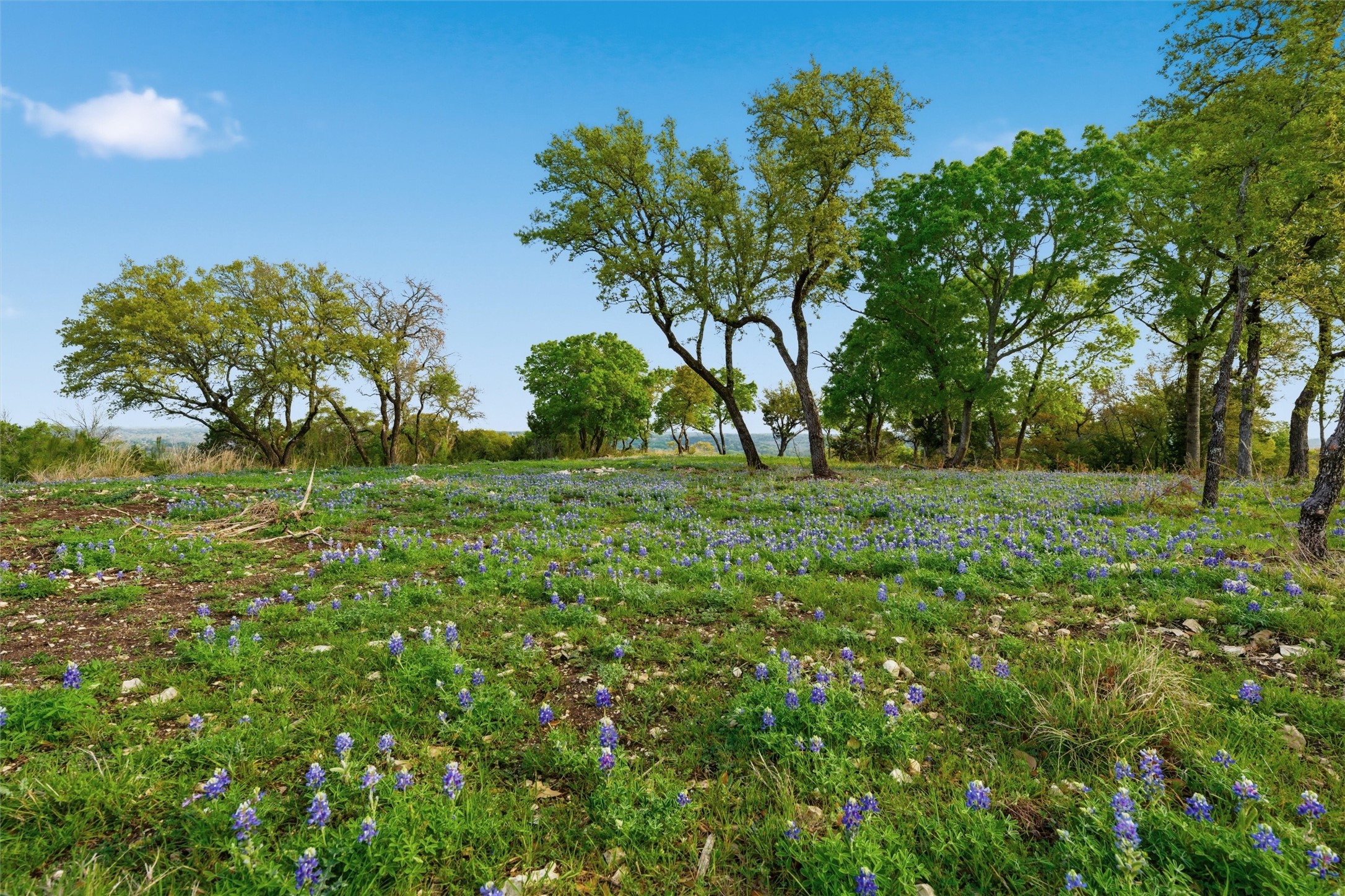 Tbd River Rock Road Valley Mills TX 76689