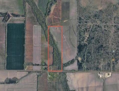 6536 Fm 1532 Ladonia TX 75449