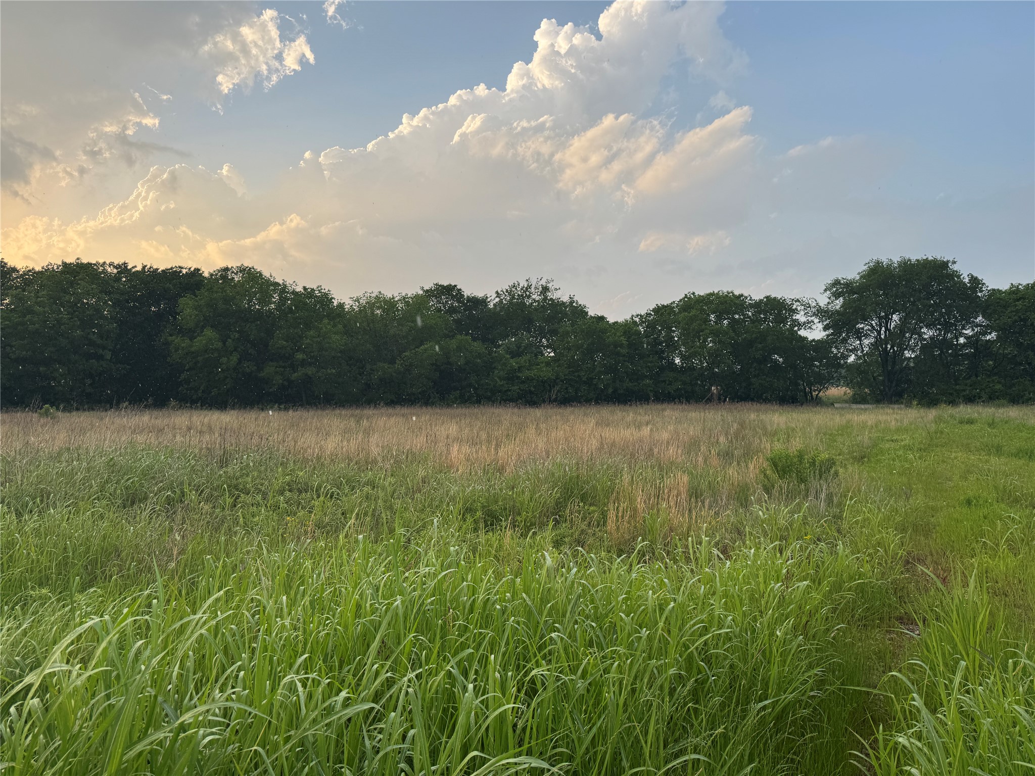 6536 Fm 1532 Ladonia TX 75449