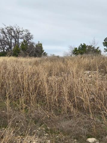 134 Yellowstone Drive Oglesby TX 76561