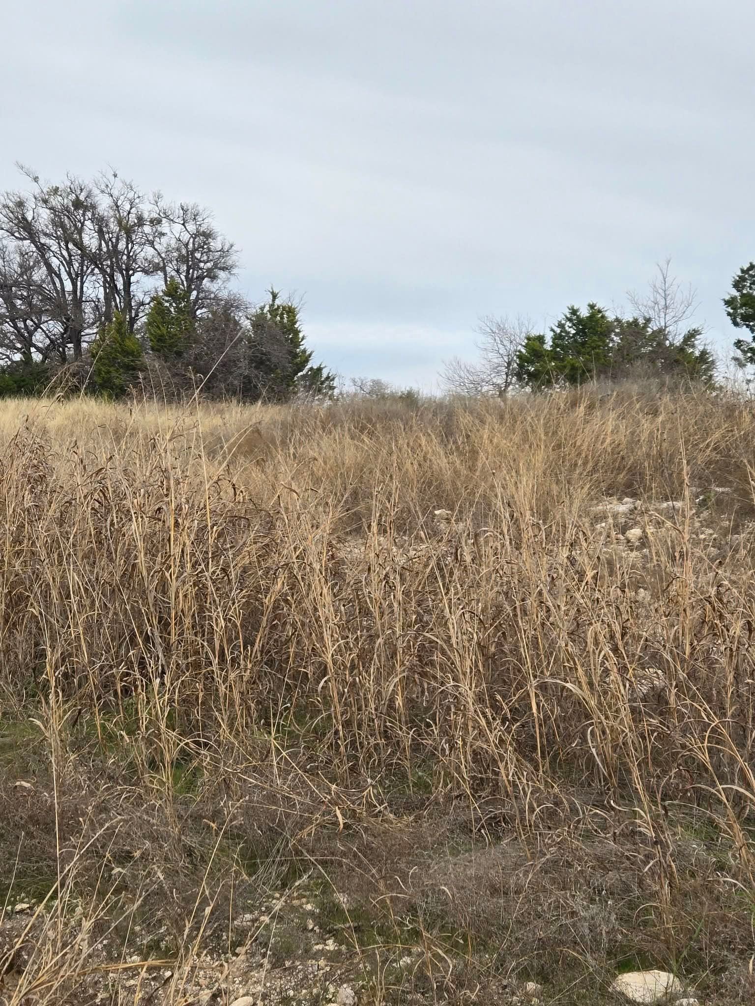 134 Yellowstone Drive Oglesby TX 76561