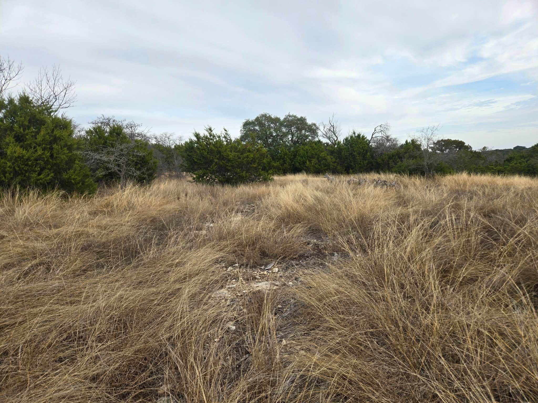 134 Yellowstone Drive Oglesby TX 76561