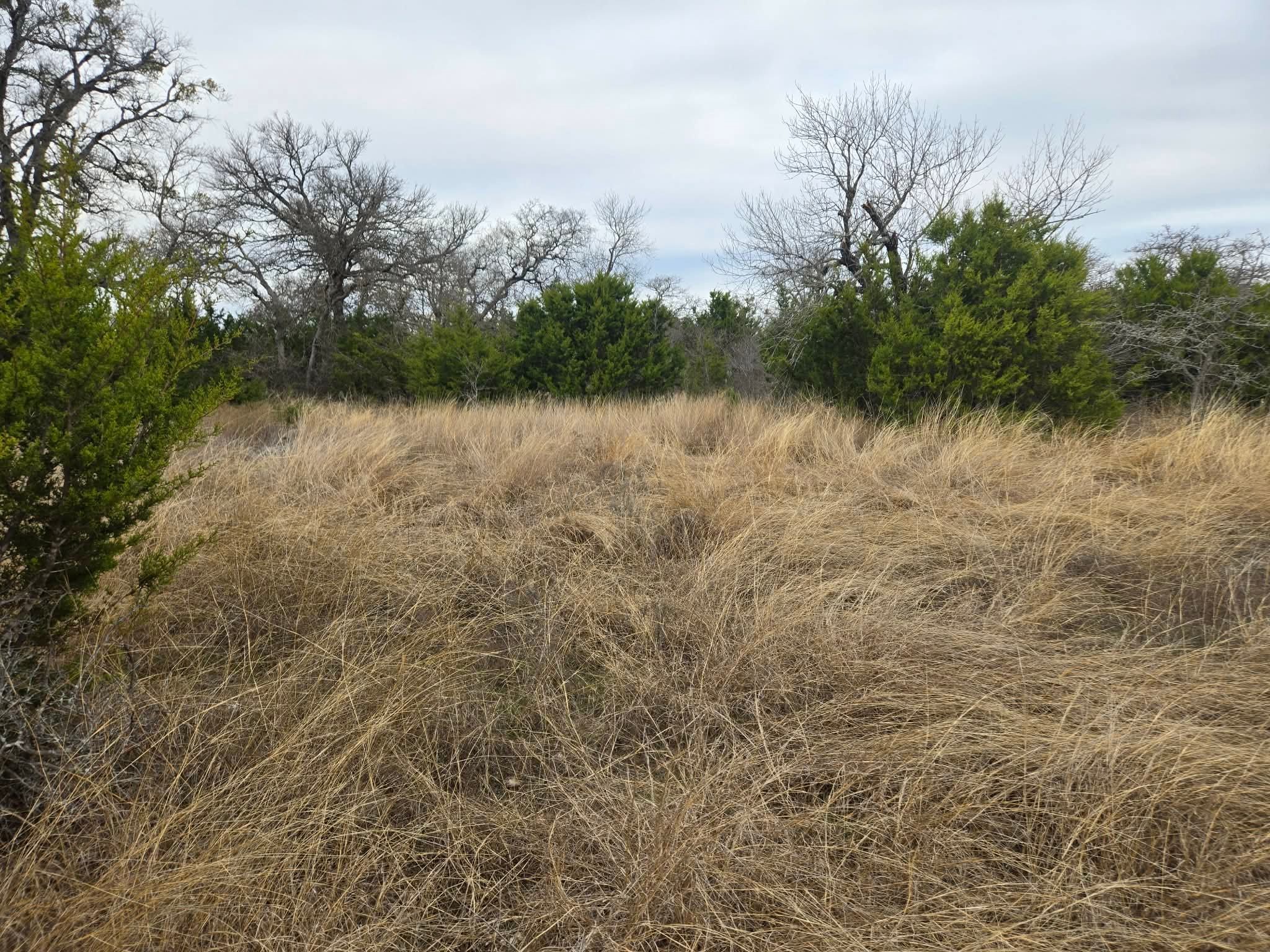 134 Yellowstone Drive Oglesby TX 76561