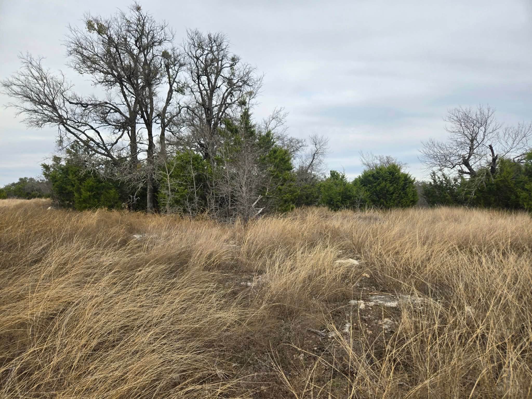 134 Yellowstone Drive Oglesby TX 76561