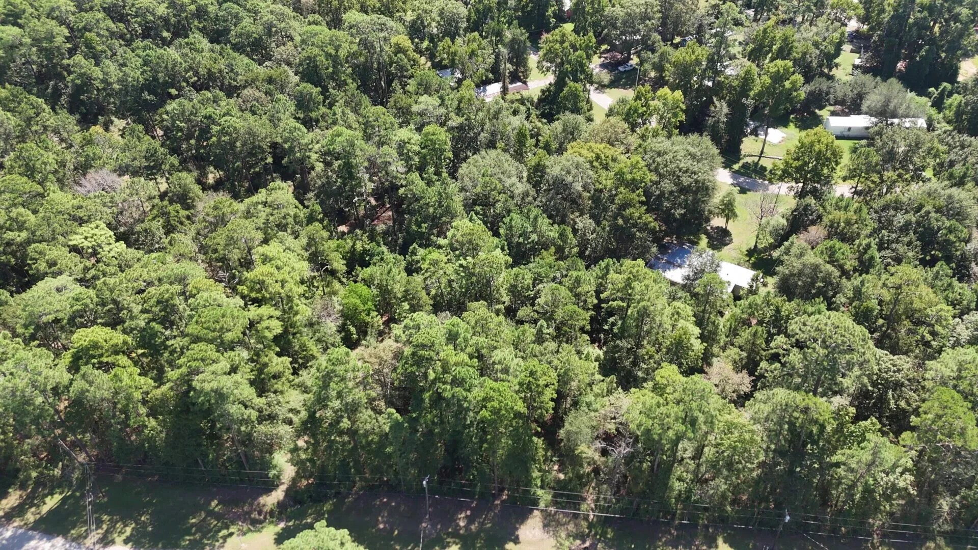 Lot 226 Canyon Drive Onalaska TX 77360